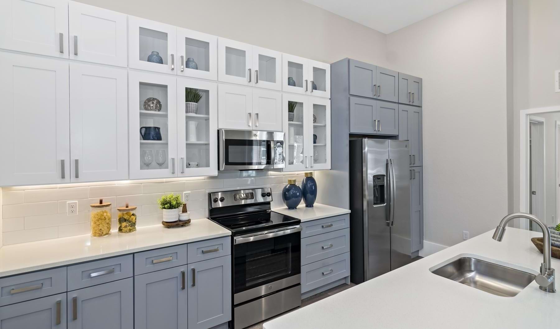Pet-friendly apartments for rent in Ocoee, FL | Arya at Windermere
